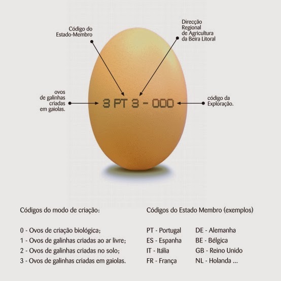Saber ler um ovo Aprender uma coisa nova por dia